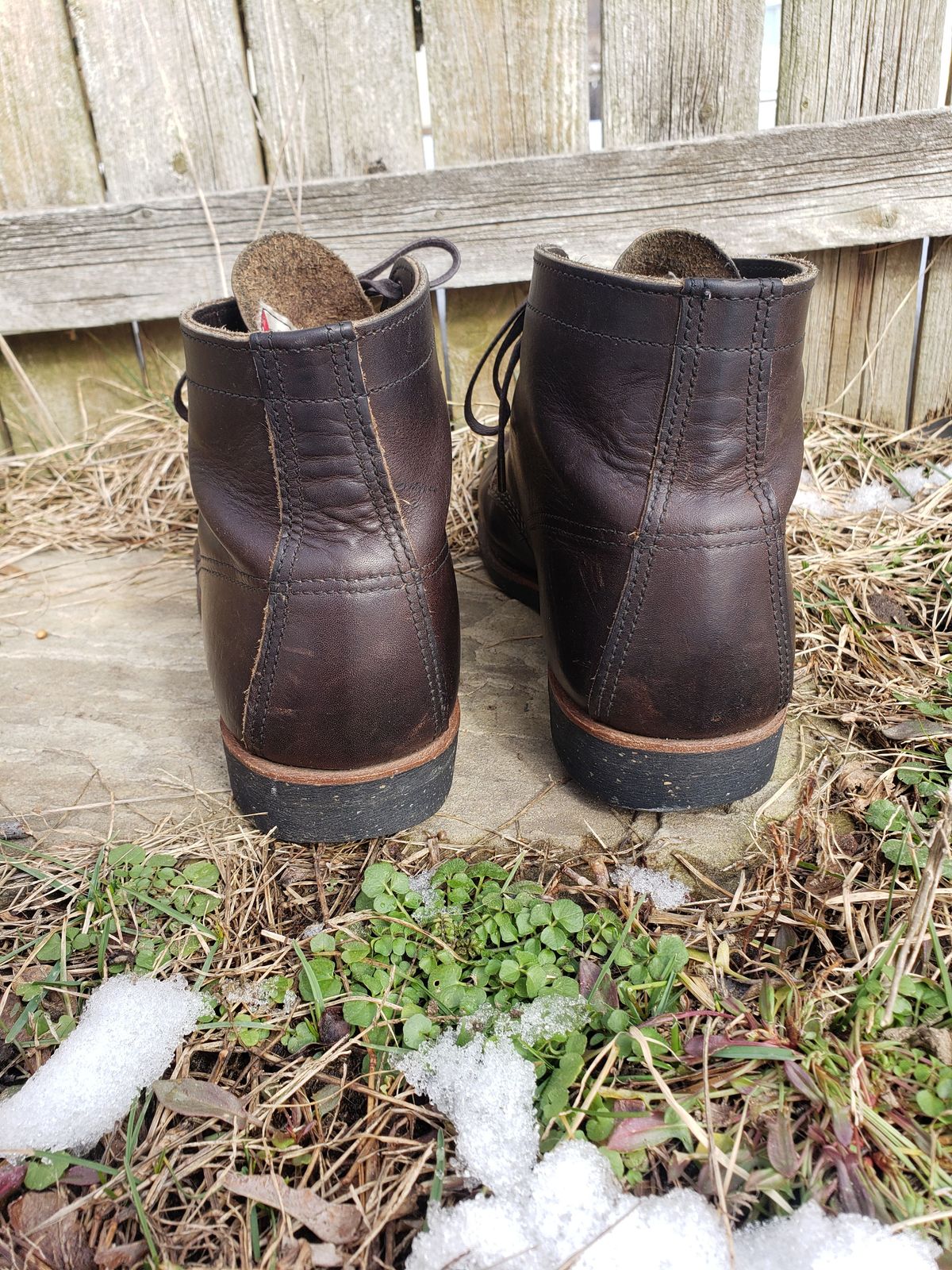 Photo by patinathunderdome on March 1, 2022 of the Red Wing Merchant in S.B. Foot Ebony Harness.