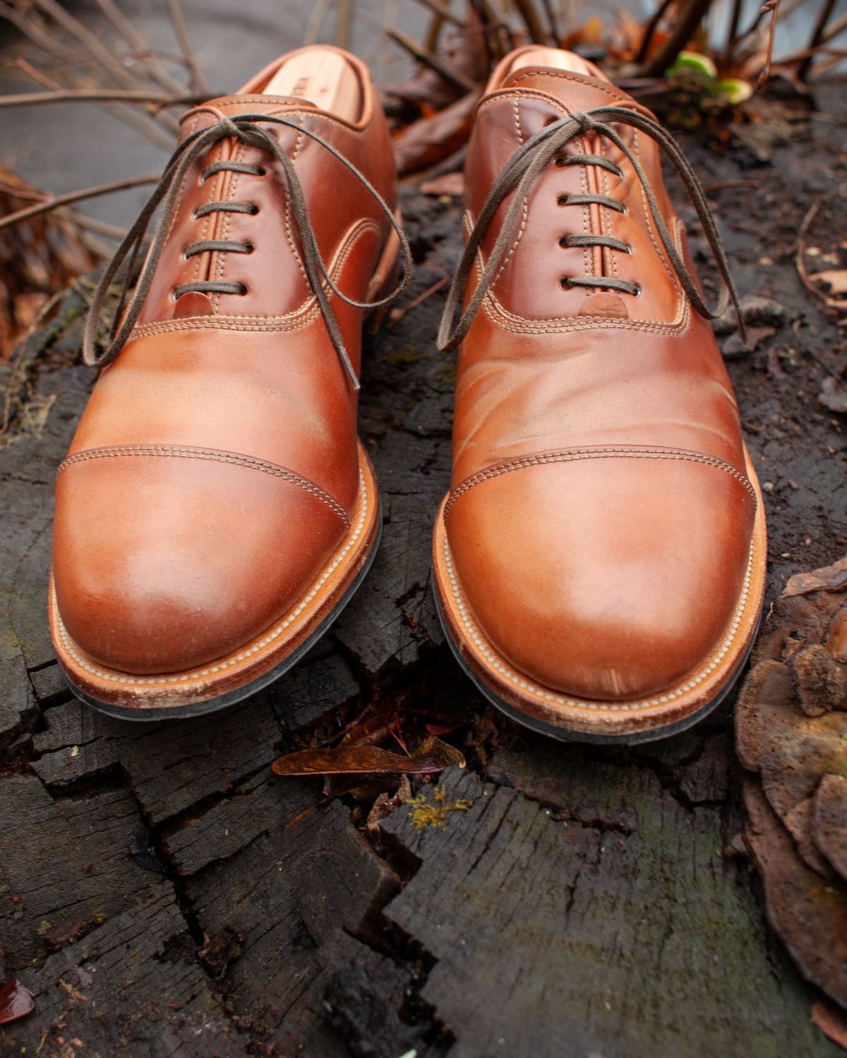 Photo by patinathunderdome on January 5, 2022 of the Viberg Bastion Oxford in Horween Natural Shell Cordovan.