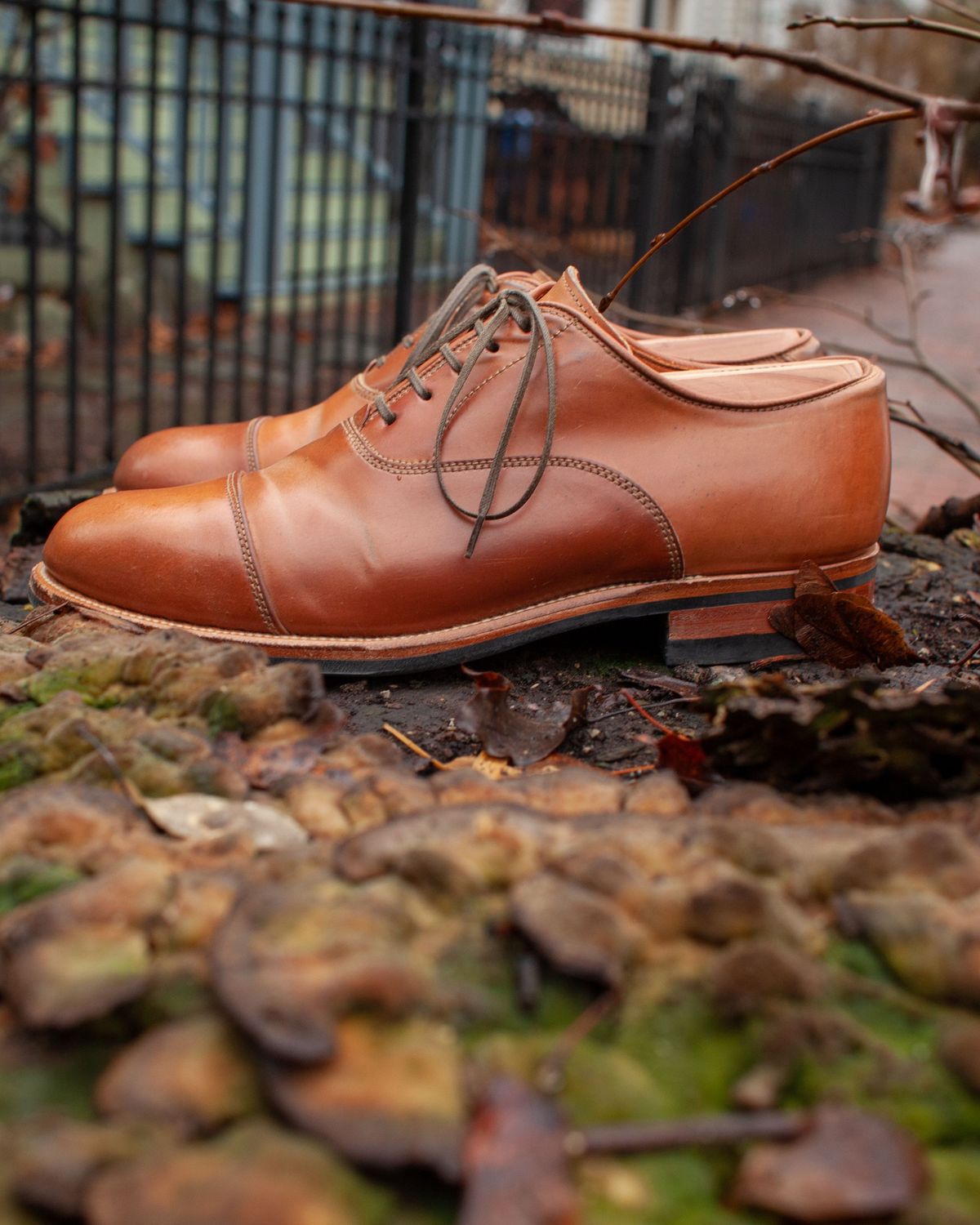 Photo by patinathunderdome on January 5, 2022 of the Viberg Bastion Oxford in Horween Natural Shell Cordovan.