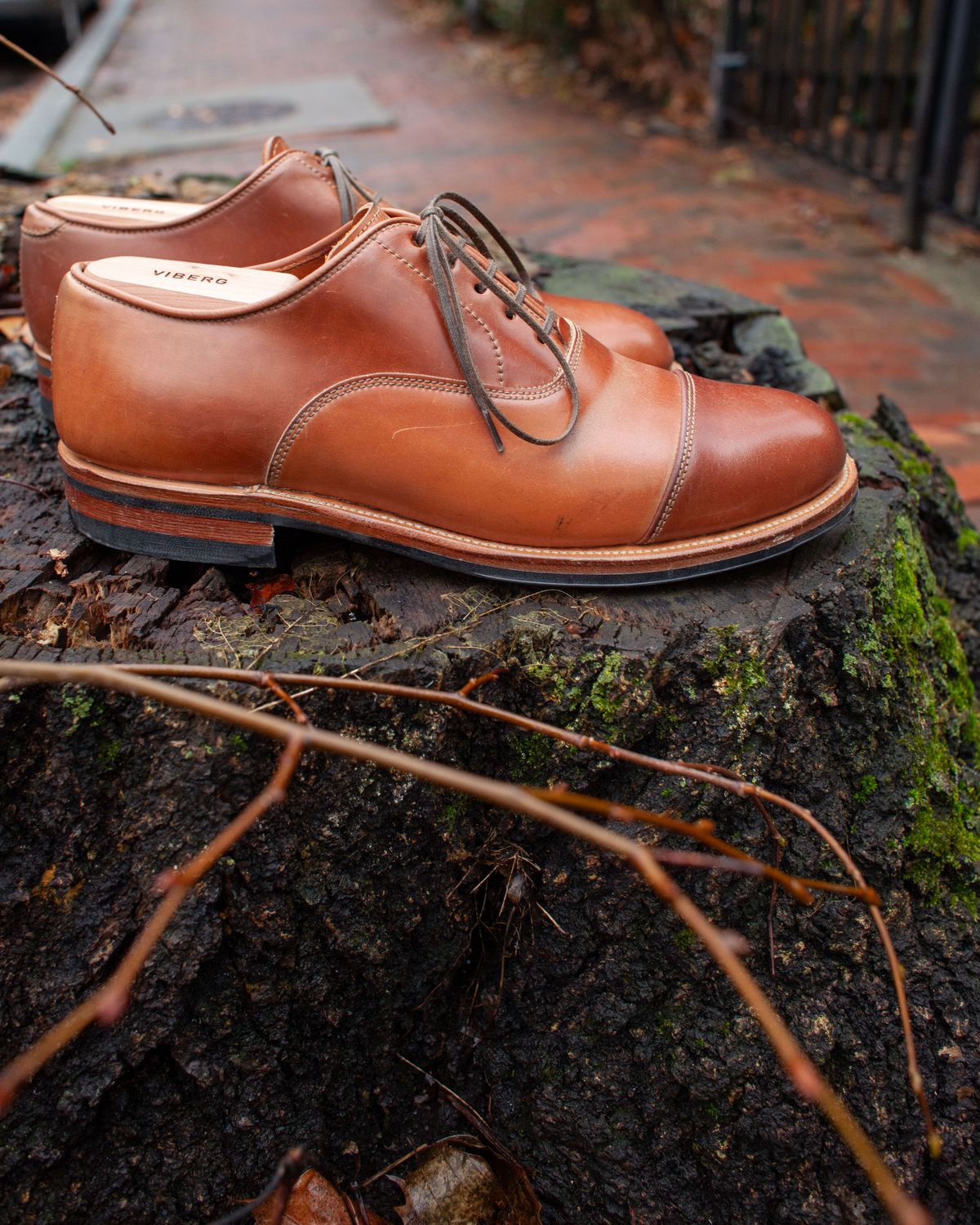 Photo by patinathunderdome on January 5, 2022 of the Viberg Bastion Oxford in Horween Natural Shell Cordovan.