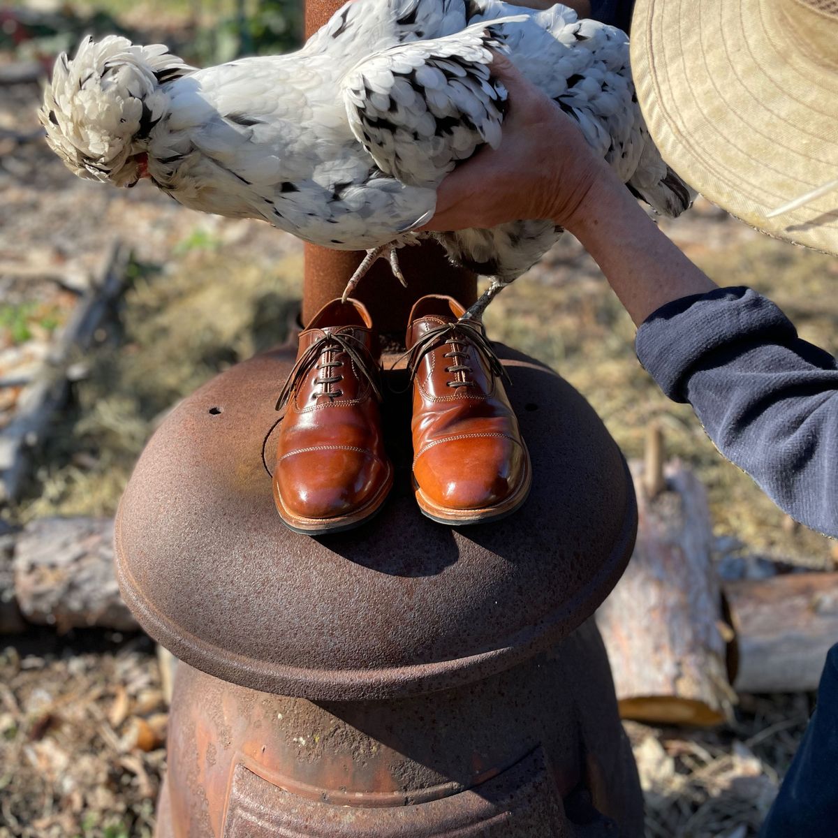 Photo by patinathunderdome on May 4, 2022 of the Viberg Bastion Oxford in Horween Natural Shell Cordovan.