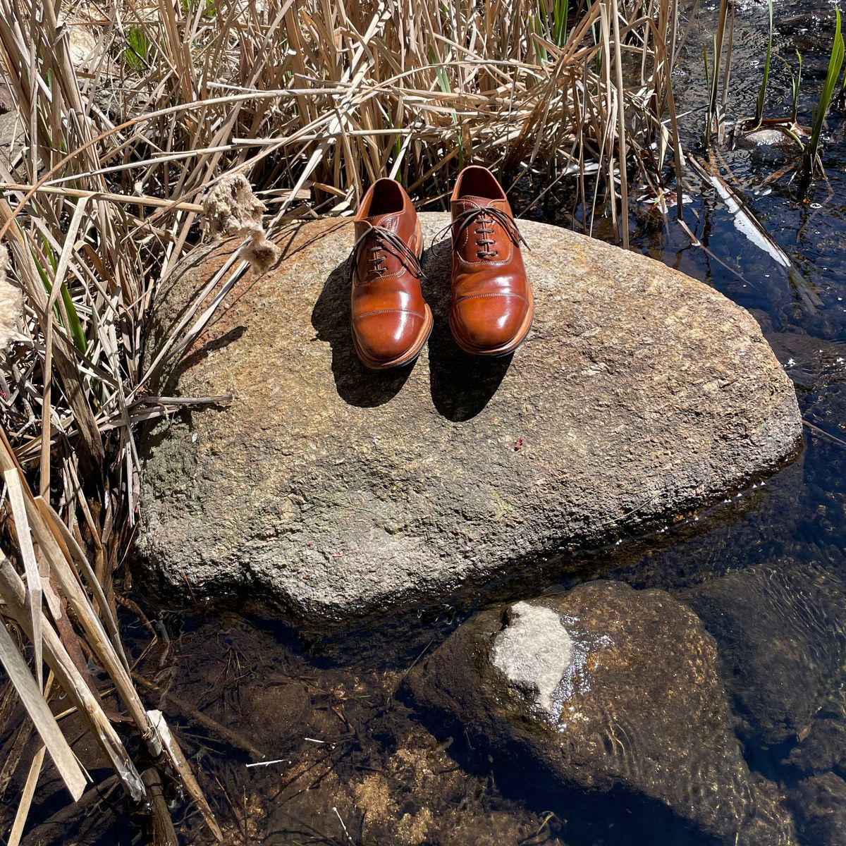 Photo by patinathunderdome on May 4, 2022 of the Viberg Bastion Oxford in Horween Natural Shell Cordovan.