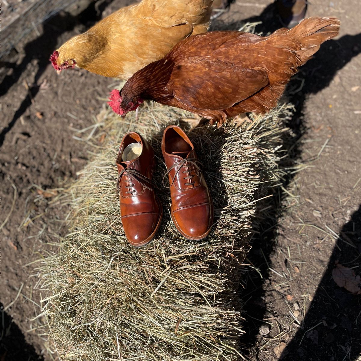 Photo by patinathunderdome on May 4, 2022 of the Viberg Bastion Oxford in Horween Natural Shell Cordovan.