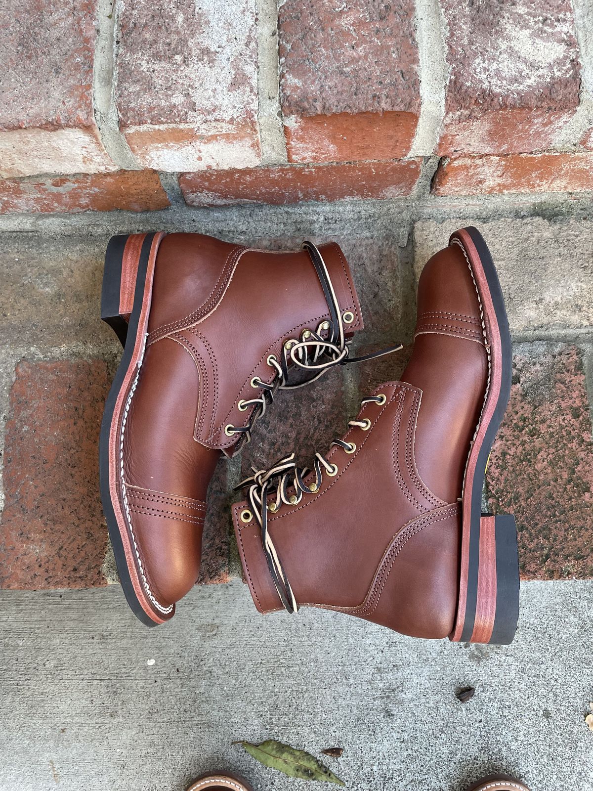 Photo by patinathunderdome on November 1, 2021 of the Nicks Americana in Wickett & Craig Medium Brown English Bridle.