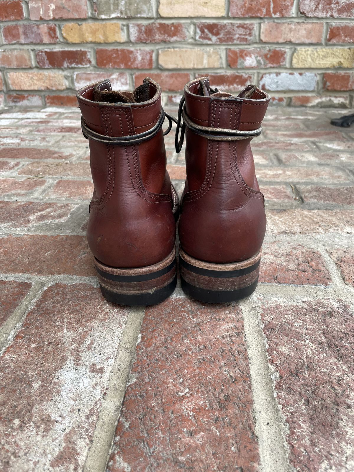 Photo by patinathunderdome on January 6, 2022 of the Nicks Americana in Wickett & Craig Medium Brown English Bridle.