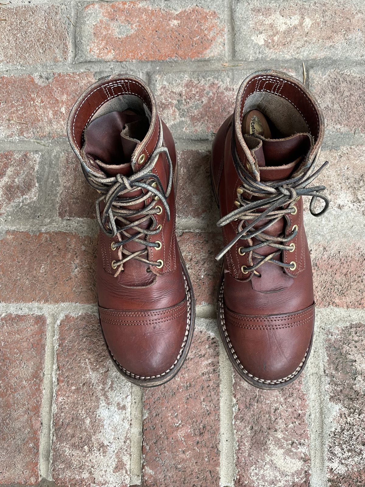 Photo by patinathunderdome on January 6, 2022 of the Nicks Americana in Wickett & Craig Medium Brown English Bridle.