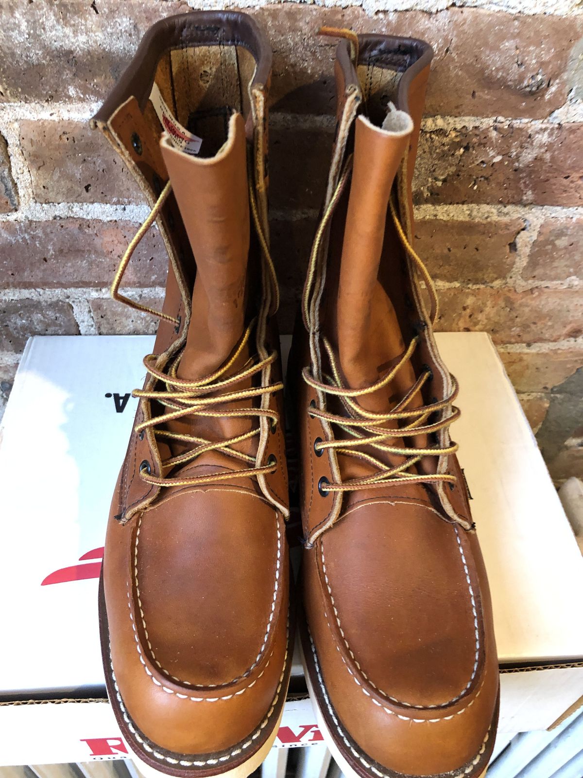 Photo by patinathunderdome on September 30, 2021 of the Red Wing 8-Inch Classic Moc in S.B. Foot Oro-Iginal.