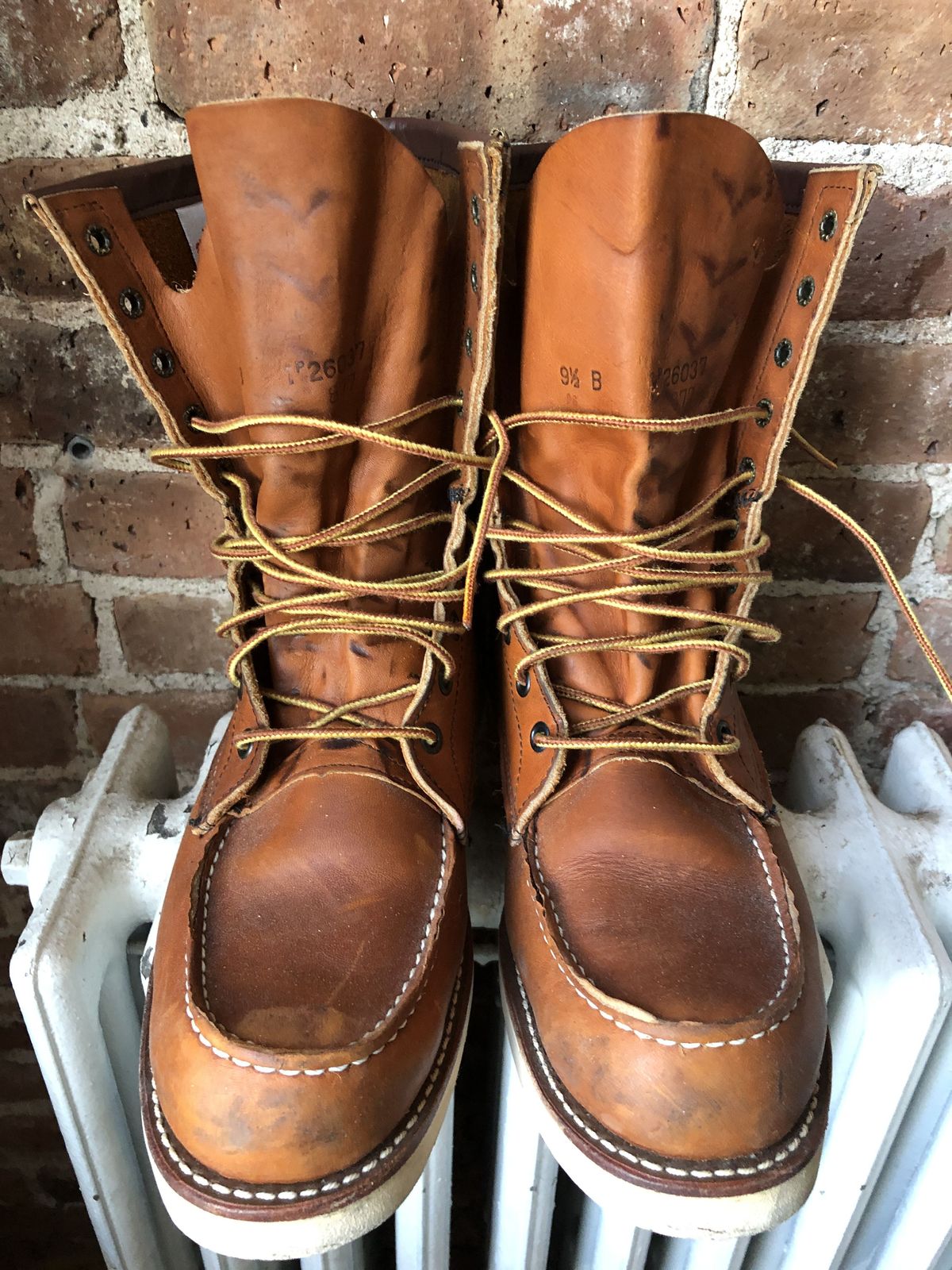 Photo by patinathunderdome on November 3, 2021 of the Red Wing 8-Inch Classic Moc in S.B. Foot Oro-Iginal.