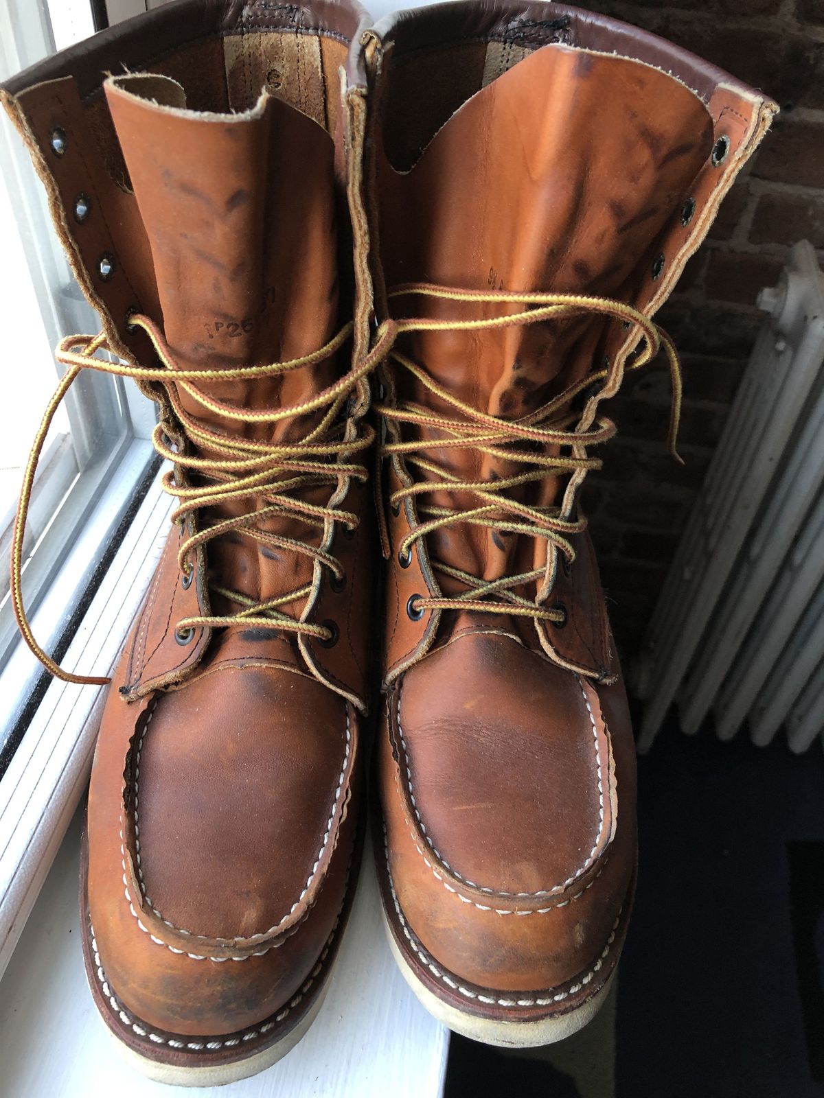 Photo by patinathunderdome on January 4, 2022 of the Red Wing 8-Inch Classic Moc in S.B. Foot Oro-Iginal.
