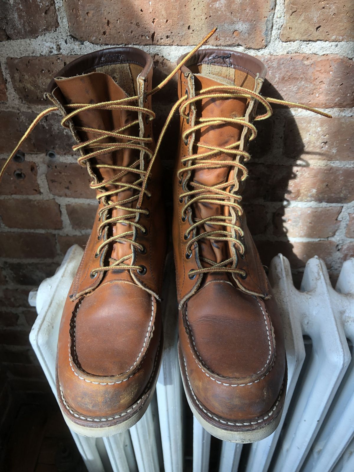 Photo by patinathunderdome on March 5, 2022 of the Red Wing 8-Inch Classic Moc in S.B. Foot Oro-Iginal.