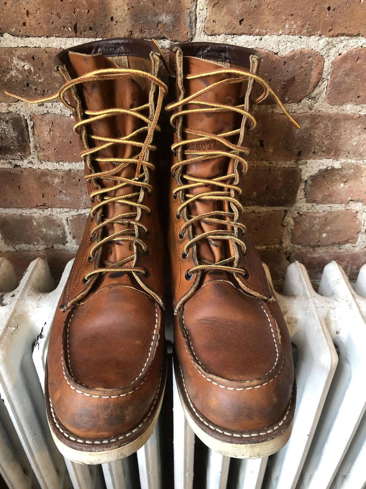 Photo by patinathunderdome on April 3, 2022 of the Red Wing 8-Inch Classic Moc in S.B. Foot Oro-Iginal.