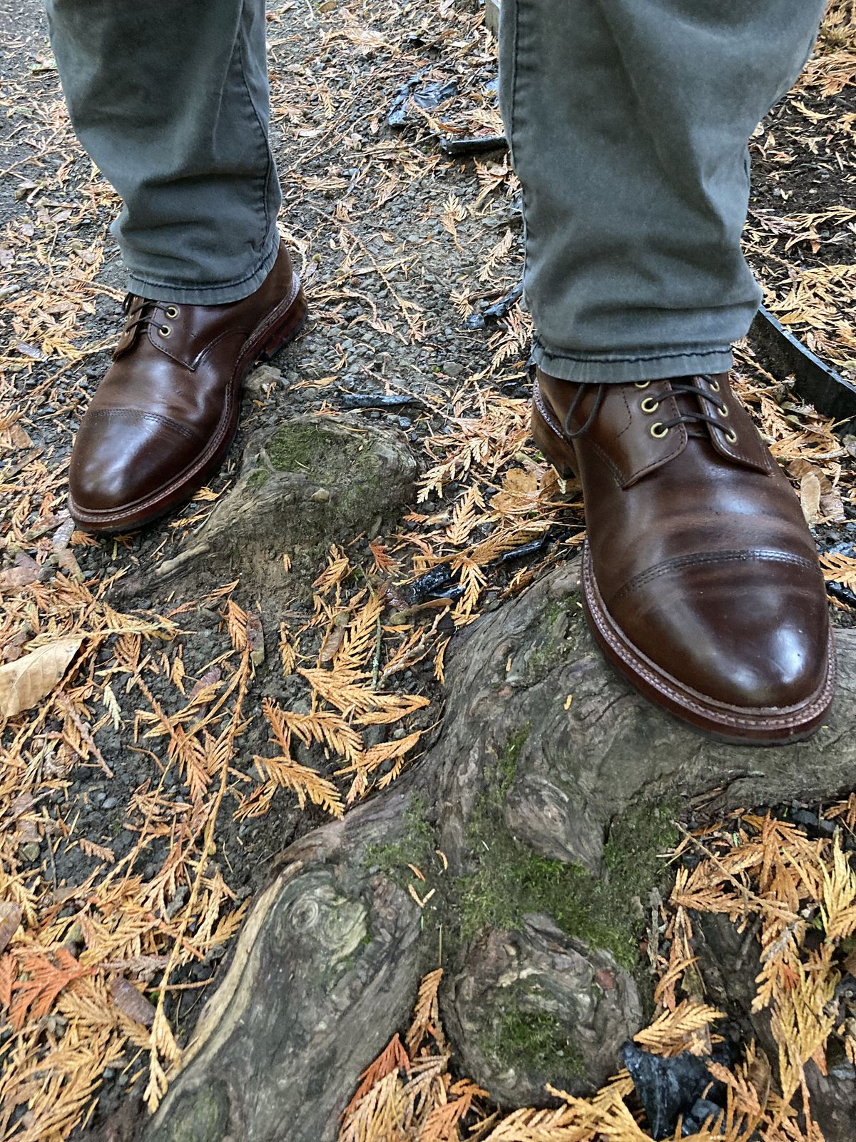 Photo by patinathunderdome on November 4, 2021 of the Grant Stone Cap Toe Boot in Horween Crimson Chromexcel.