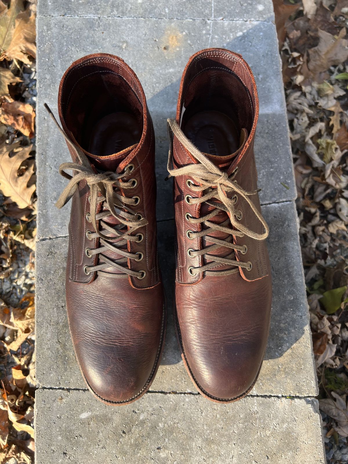 Photo by patinathunderdome on December 1, 2021 of the Viberg Service Boot in C.F. Stead Espresso Classic Oiled Shoulder.