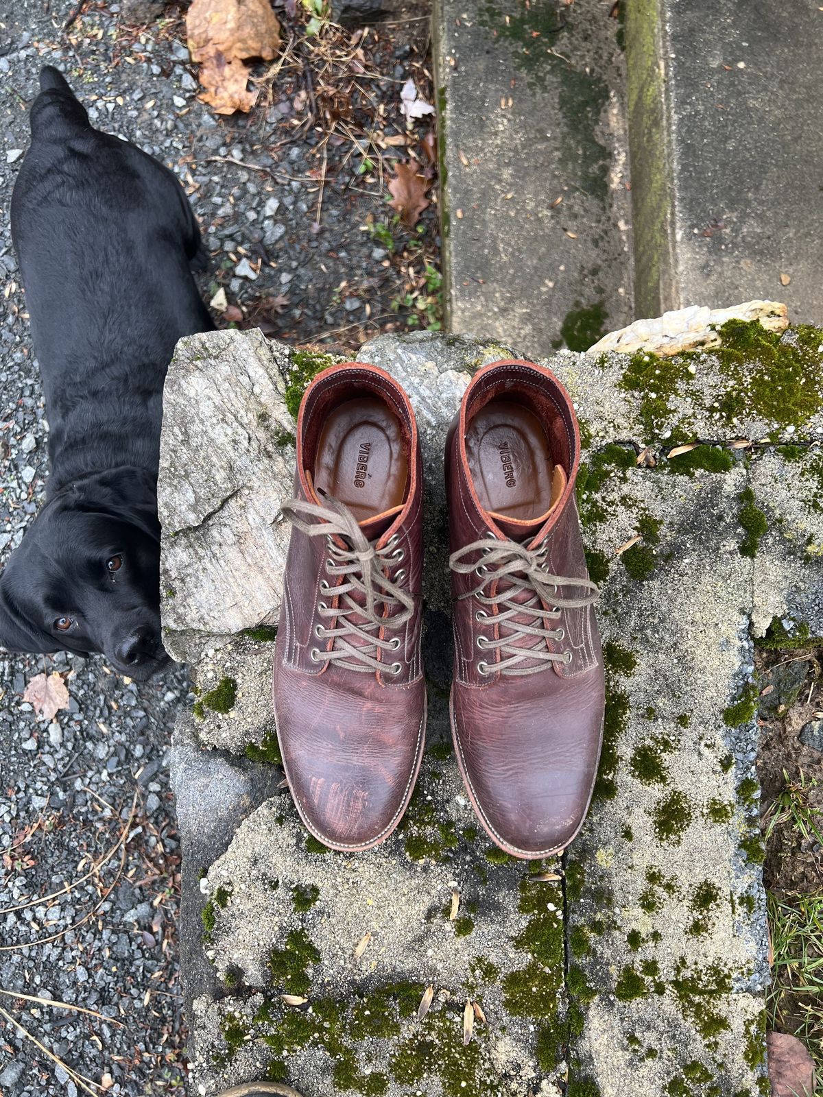 Photo by patinathunderdome on January 2, 2022 of the Viberg Service Boot in C.F. Stead Espresso Classic Oiled Shoulder.