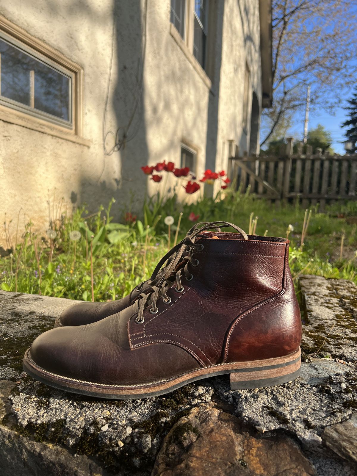 Photo by patinathunderdome on May 3, 2022 of the Viberg Service Boot in C.F. Stead Espresso Classic Oiled Shoulder.