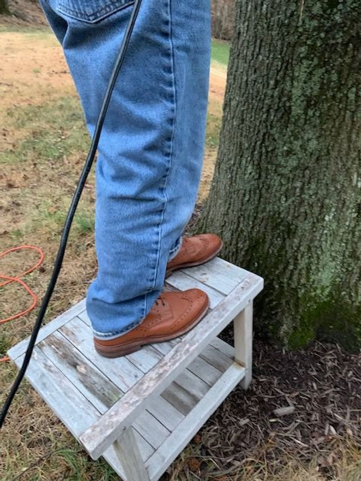 Photo by patinathunderdome on January 3, 2022 of the Tricker's Stow Country Boot in C-Shade Tan.