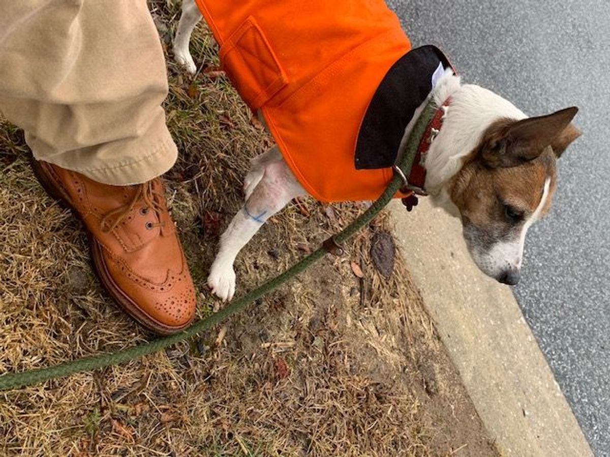 Photo by patinathunderdome on February 6, 2022 of the Tricker's Stow Country Boot in C-Shade Tan.