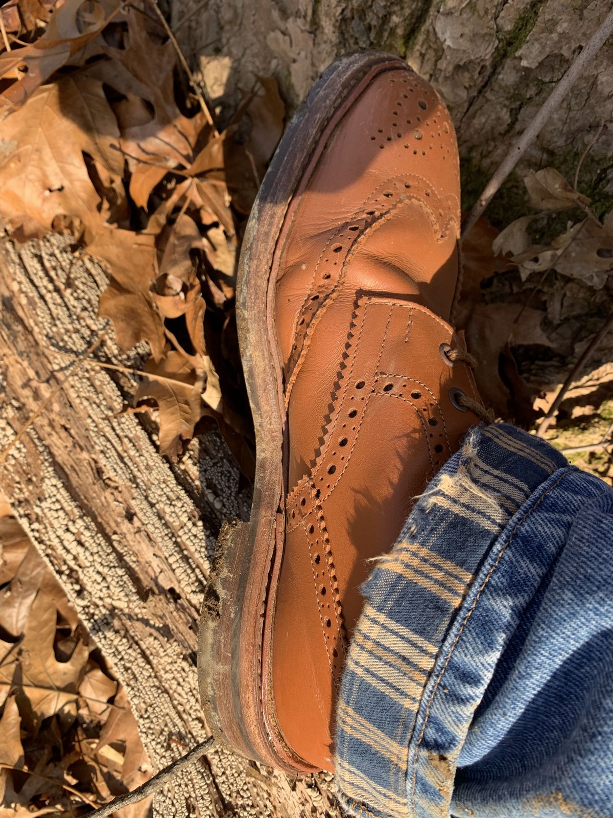 Photo by patinathunderdome on March 4, 2022 of the Tricker's Stow Country Boot in C-Shade Tan.