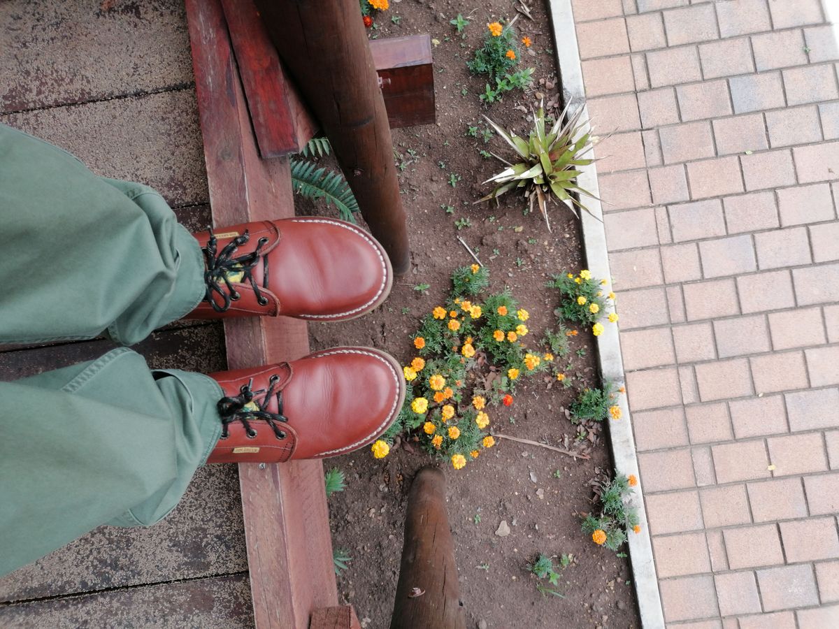 Photo by patinathunderdome on December 1, 2021 of the Jim Green Vellie in Tan Full Grain.