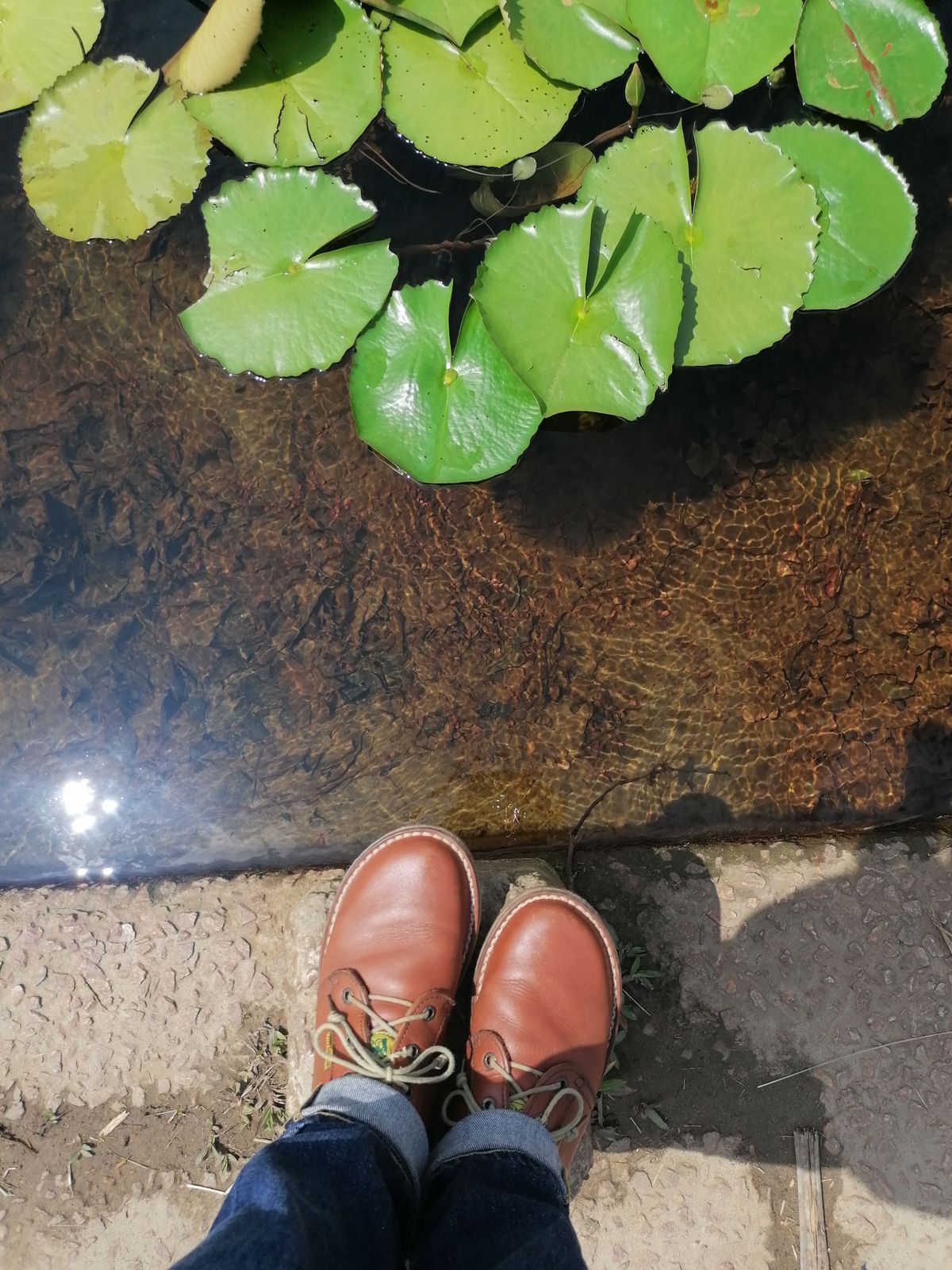 Photo by patinathunderdome on March 3, 2022 of the Jim Green Vellie in Tan Full Grain.