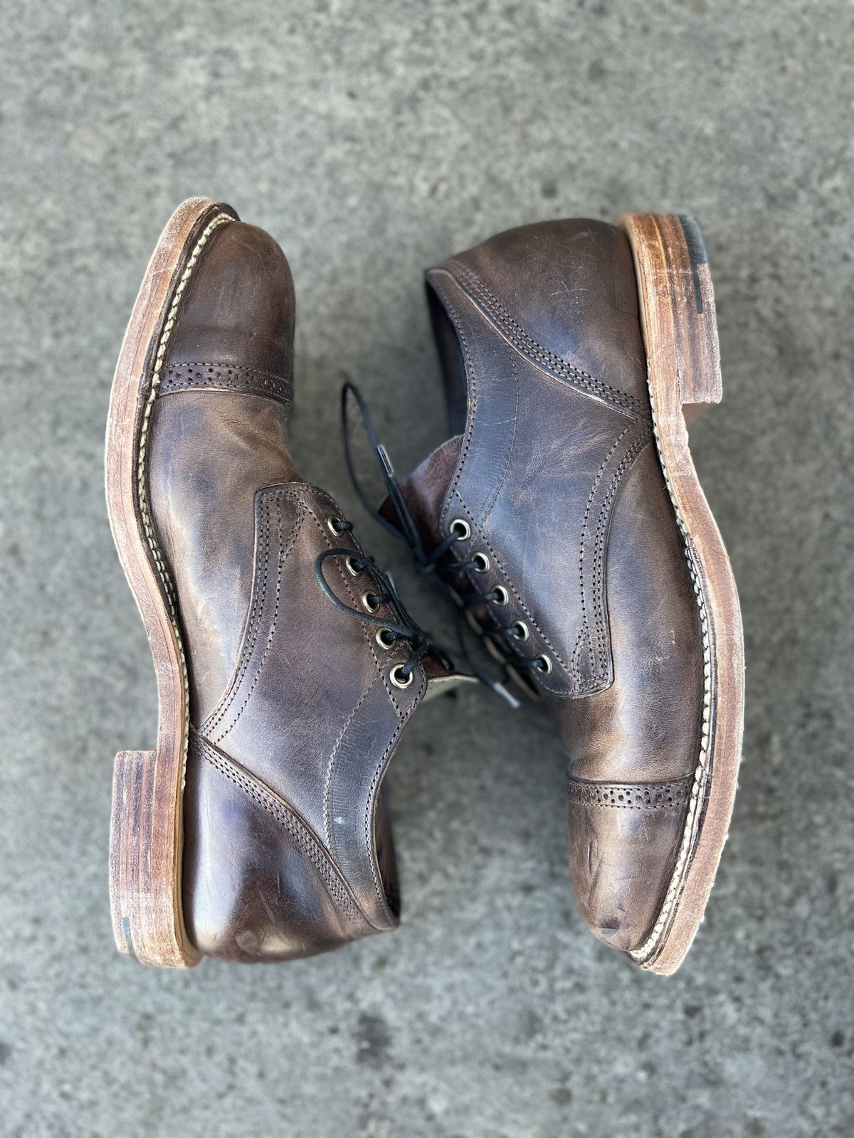 Photo by patinathunderdome on November 5, 2021 of the Viberg 145 Oxford in Horween Rowdy Dachshund.