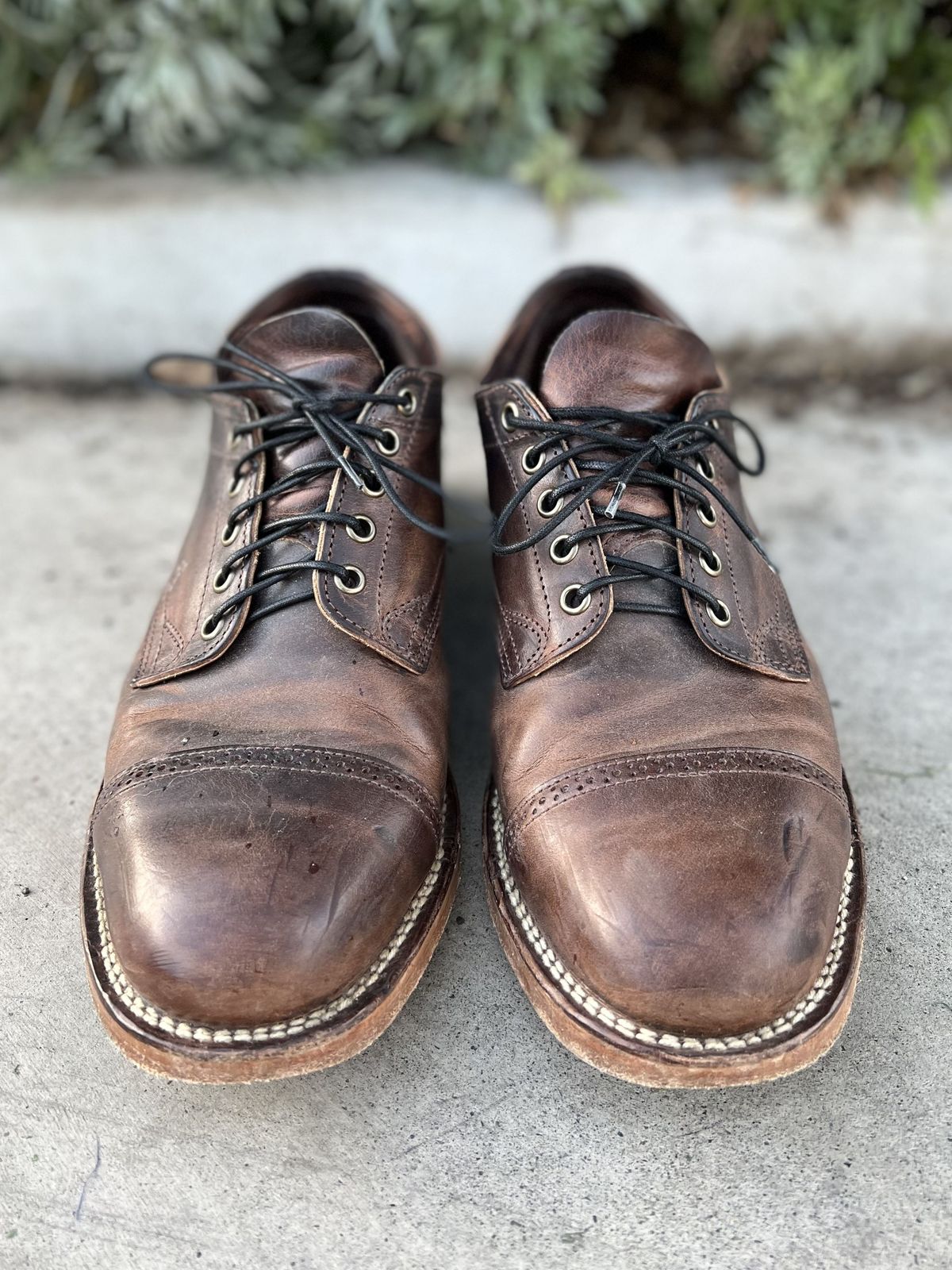 Photo by patinathunderdome on December 6, 2021 of the Viberg 145 Oxford in Horween Rowdy Dachshund.