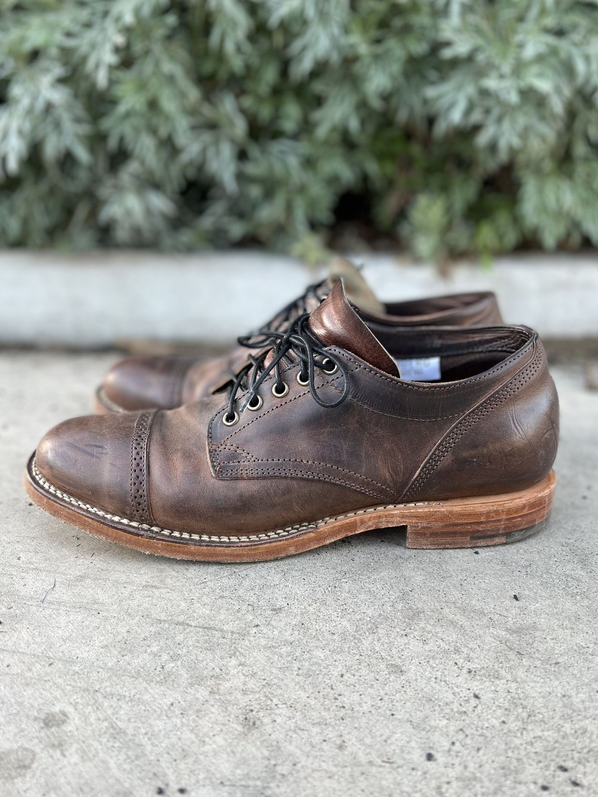 Photo by patinathunderdome on December 6, 2021 of the Viberg 145 Oxford in Horween Rowdy Dachshund.