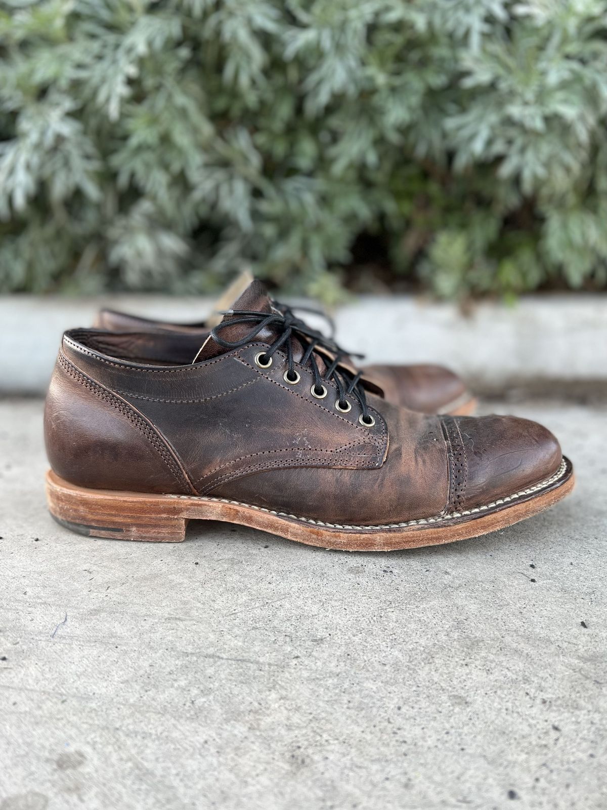 Photo by patinathunderdome on December 6, 2021 of the Viberg 145 Oxford in Horween Rowdy Dachshund.
