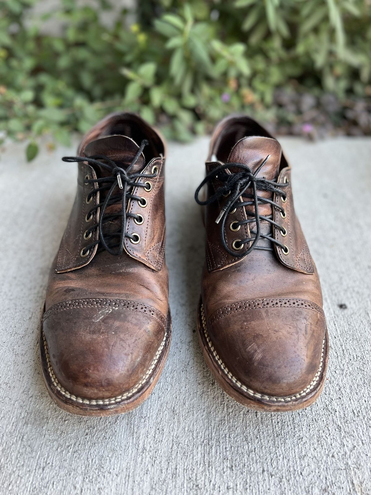 Photo by patinathunderdome on January 5, 2022 of the Viberg 145 Oxford in Horween Rowdy Dachshund.