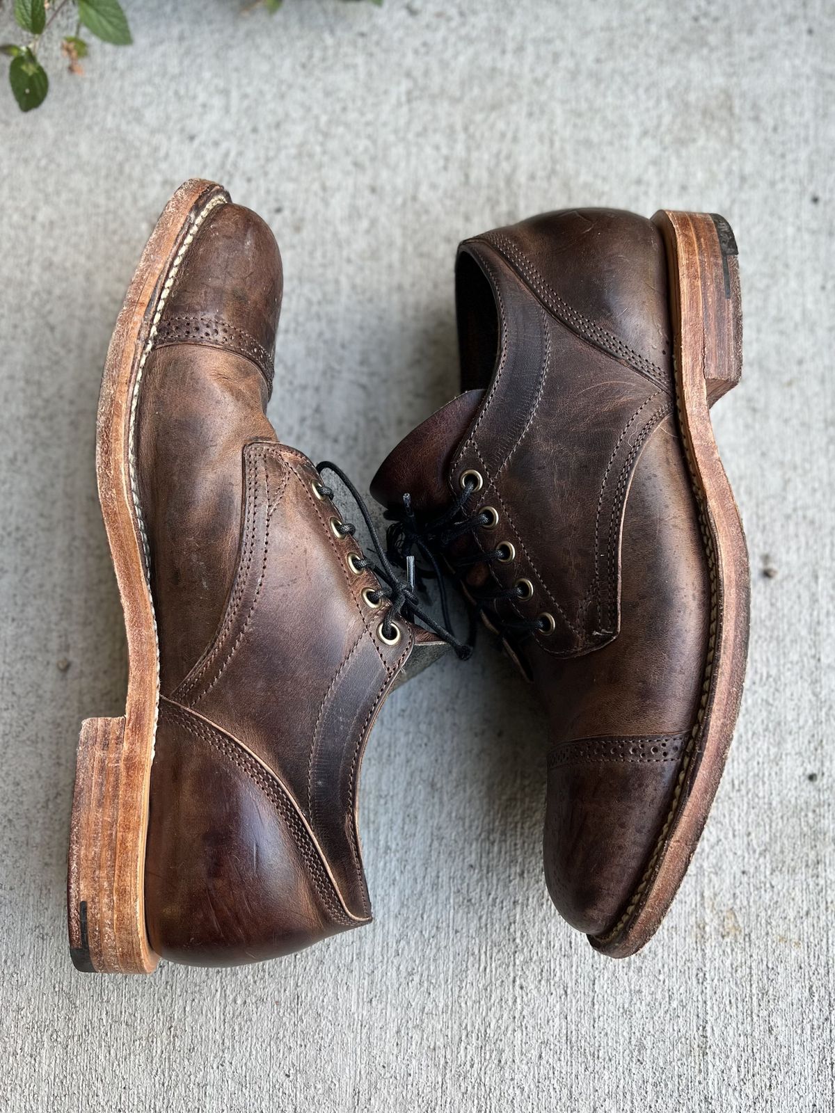 Photo by patinathunderdome on January 5, 2022 of the Viberg 145 Oxford in Horween Rowdy Dachshund.