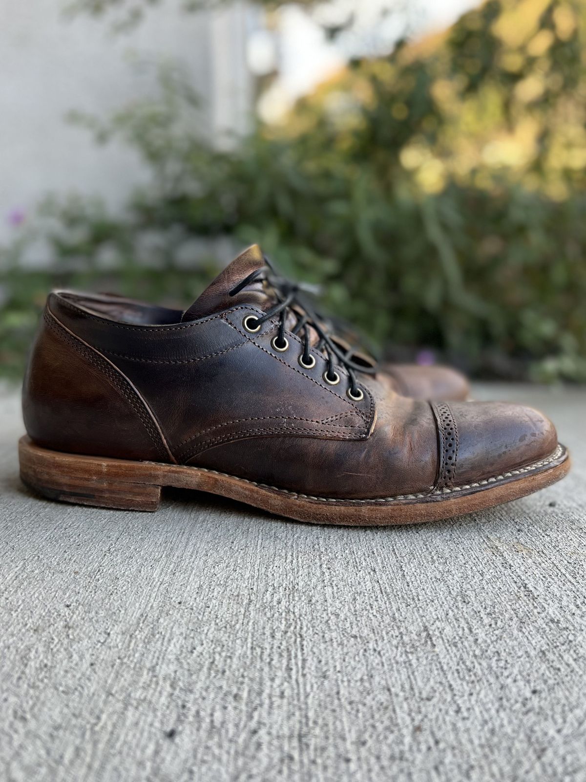 Photo by patinathunderdome on January 5, 2022 of the Viberg 145 Oxford in Horween Rowdy Dachshund.