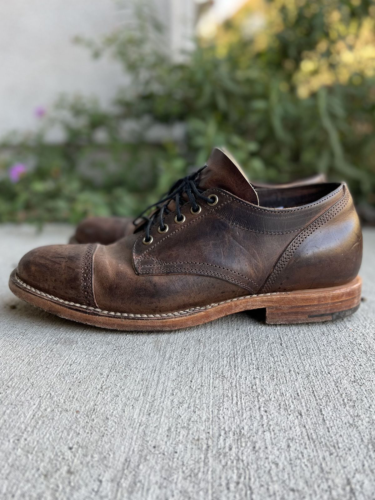 Photo by patinathunderdome on January 5, 2022 of the Viberg 145 Oxford in Horween Rowdy Dachshund.