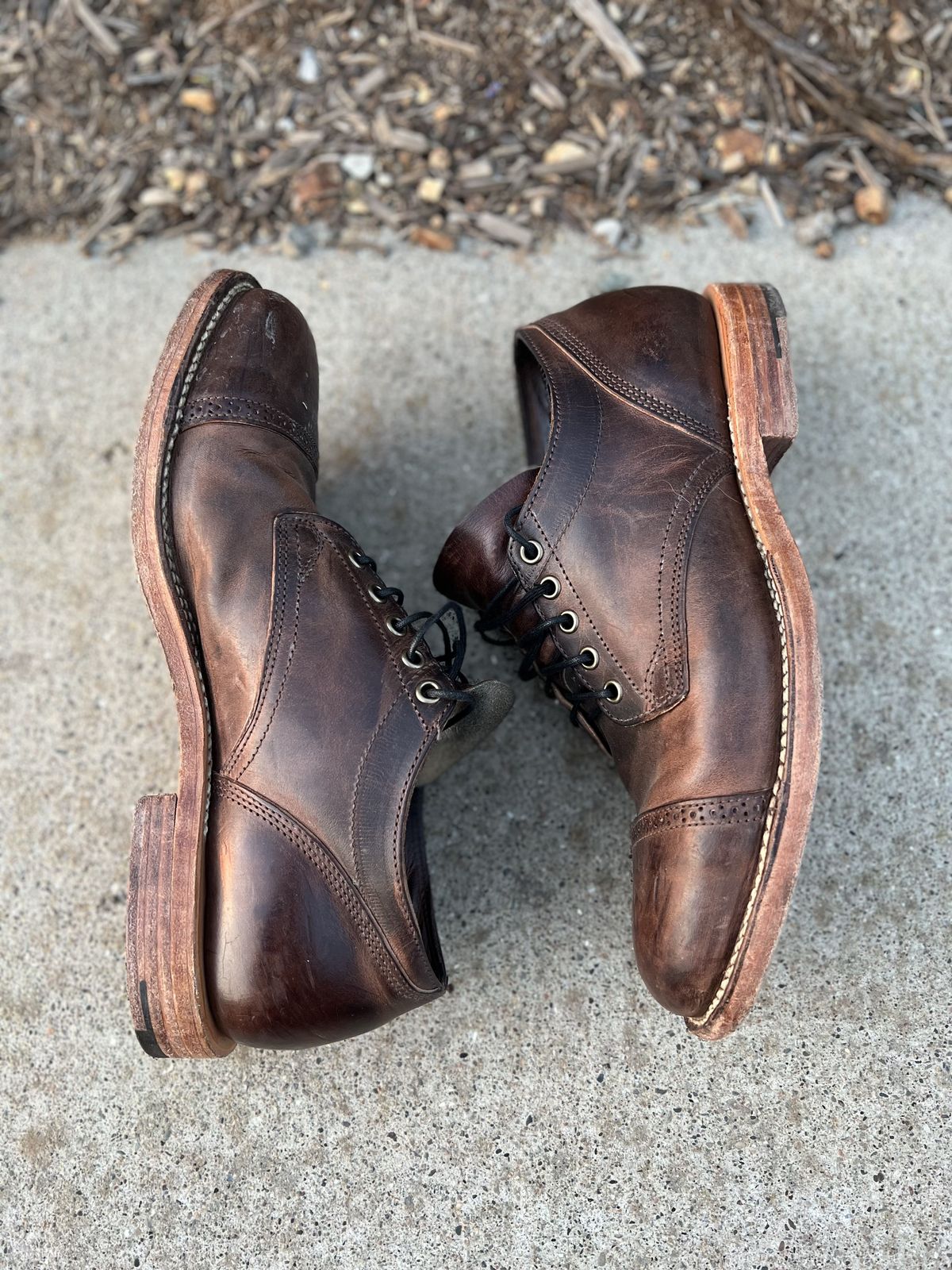 Photo by patinathunderdome on February 5, 2022 of the Viberg 145 Oxford in Horween Rowdy Dachshund.