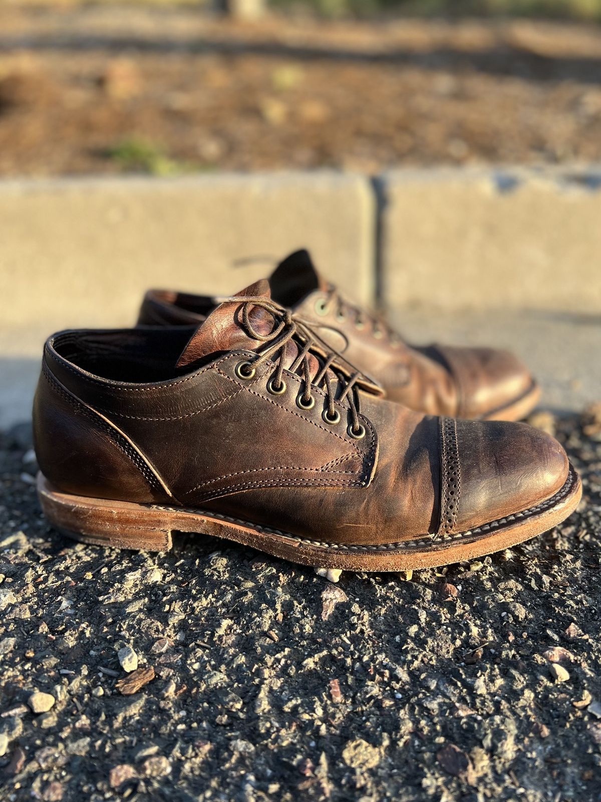 Photo by patinathunderdome on April 6, 2022 of the Viberg 145 Oxford in Horween Rowdy Dachshund.