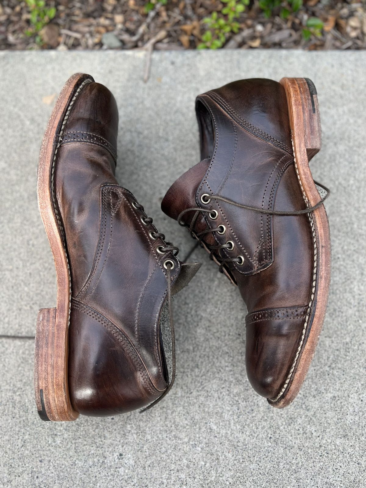 Photo by patinathunderdome on May 6, 2022 of the Viberg 145 Oxford in Horween Rowdy Dachshund.