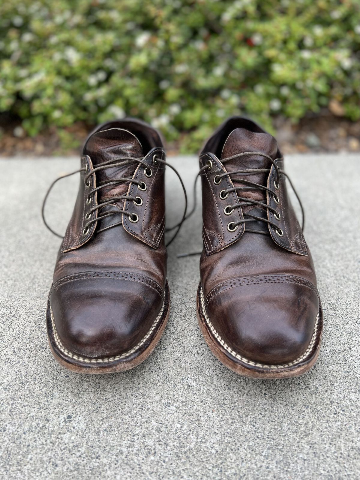 Photo by patinathunderdome on May 6, 2022 of the Viberg 145 Oxford in Horween Rowdy Dachshund.