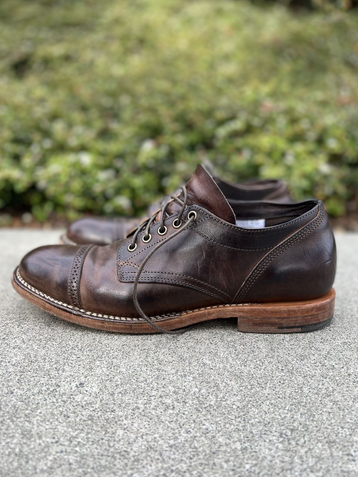 Photo by patinathunderdome on May 6, 2022 of the Viberg 145 Oxford in Horween Rowdy Dachshund.