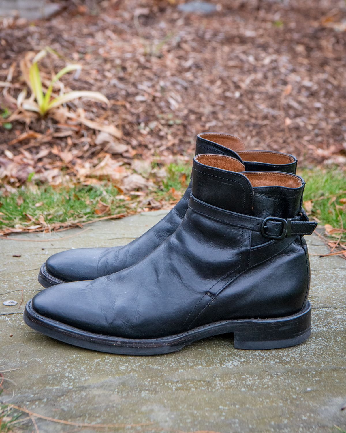 Photo by patinathunderdome on December 4, 2021 of the Frye Jasper Jodhpur in Black Italian Veg Tan.