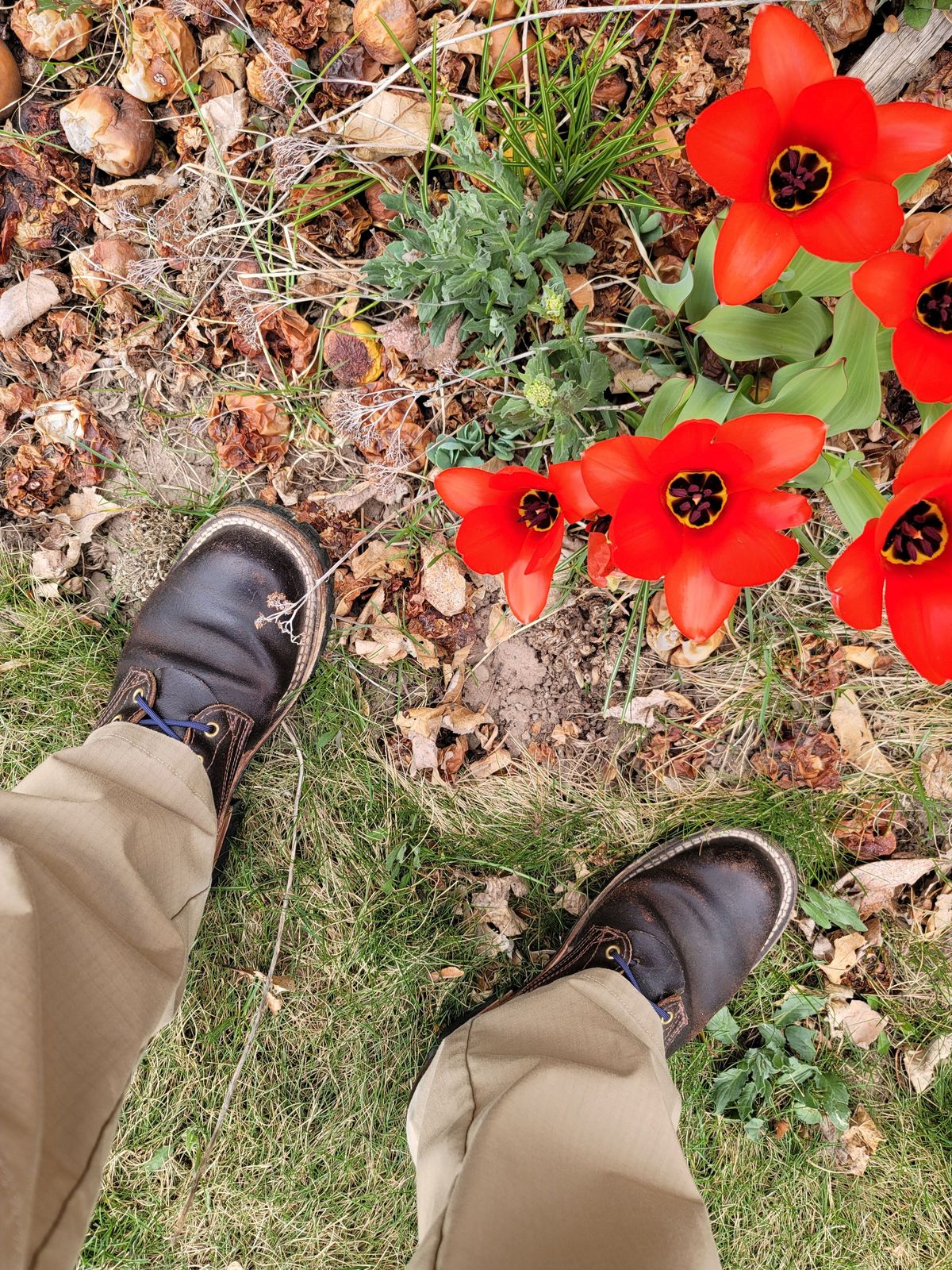 Photo by patinathunderdome on April 4, 2022 of the Nicks Urban Logger in Horween Brown Waxed Flesh.