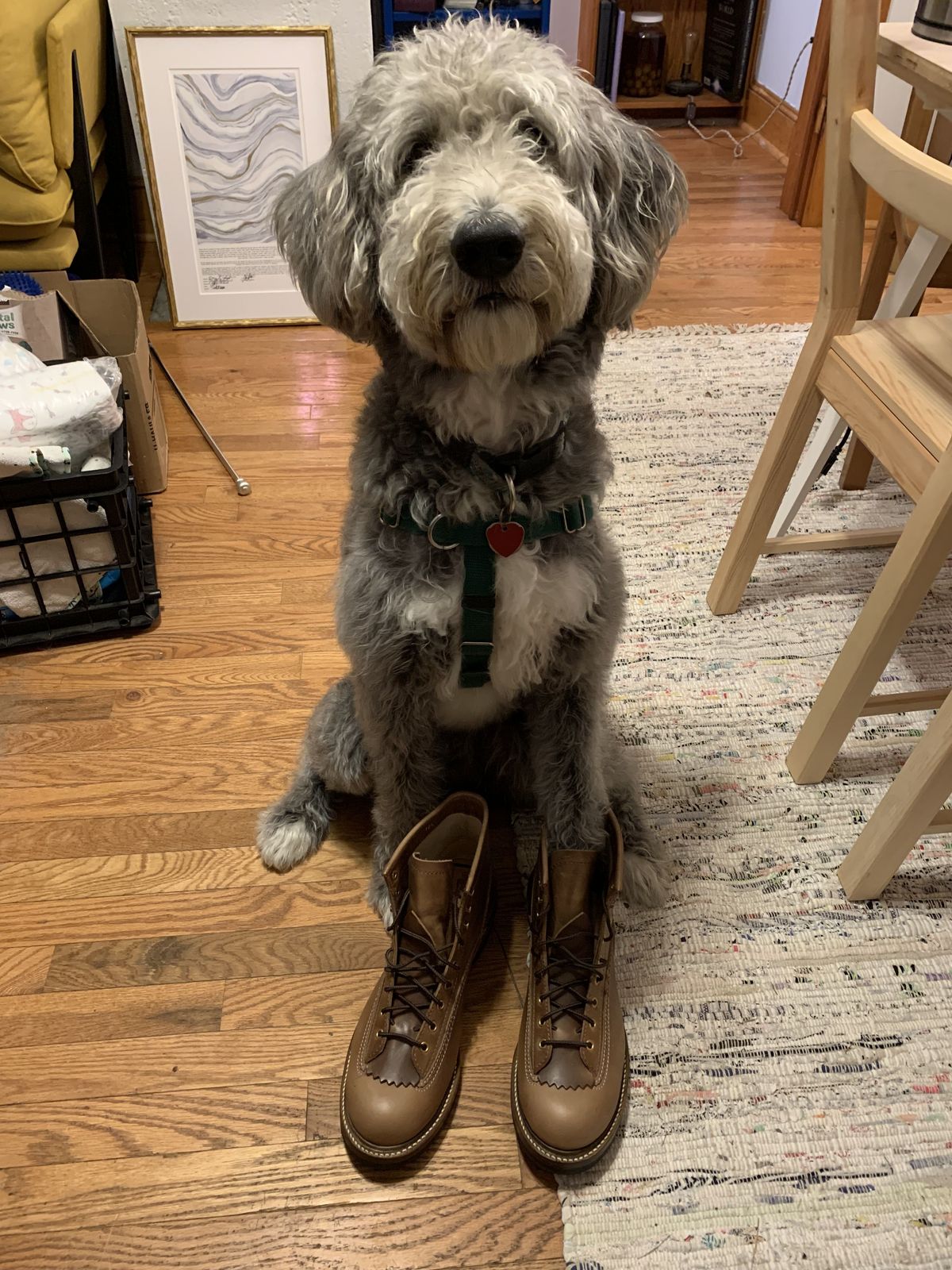 Photo by patinathunderdome on September 30, 2021 of the John Lofgren Donkey Puncher Boots in Horween Natural Bison.