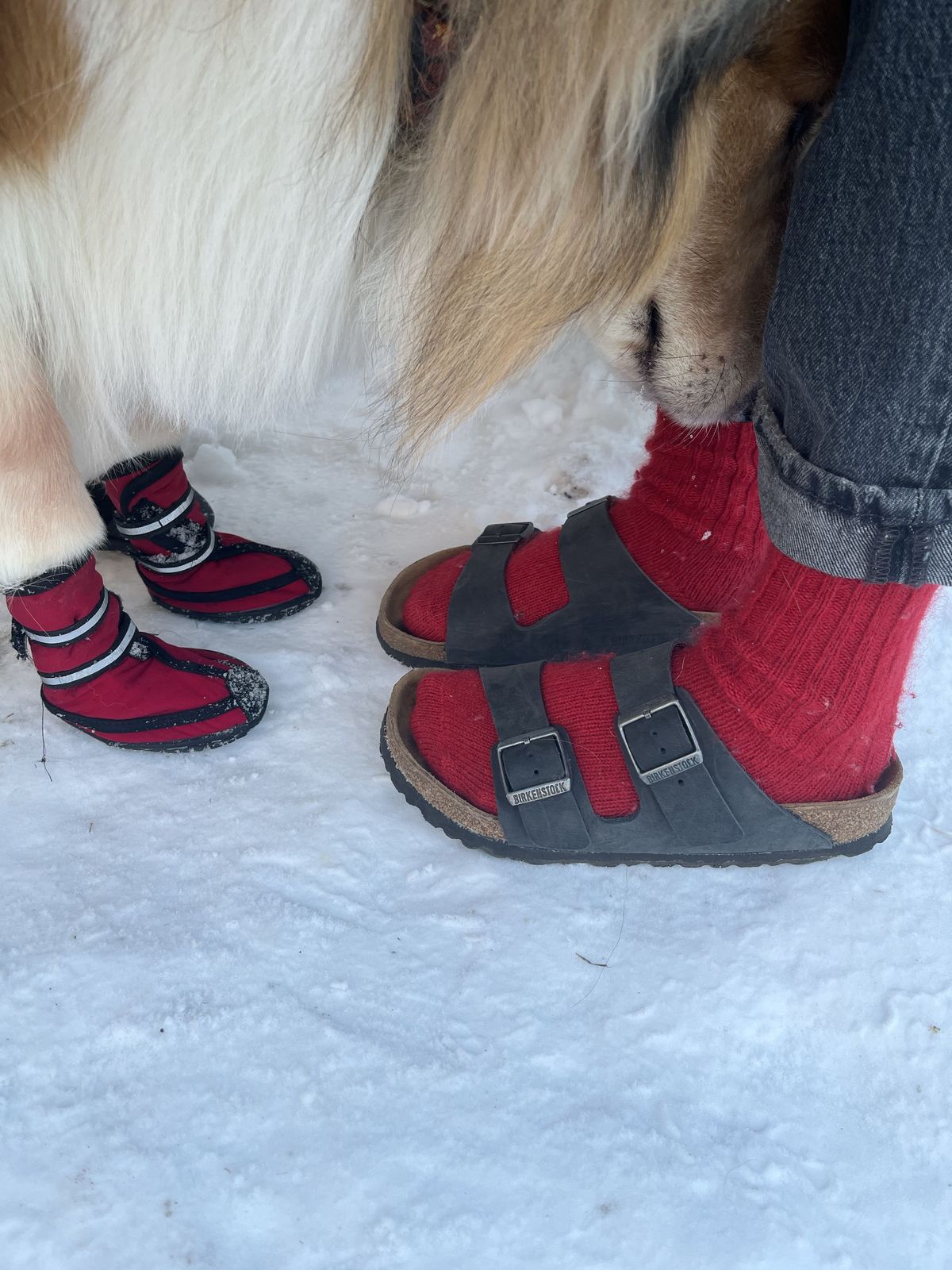 Photo by patinathunderdome on February 1, 2022 of the Birkenstock Arizona in Black Oiled Leather.