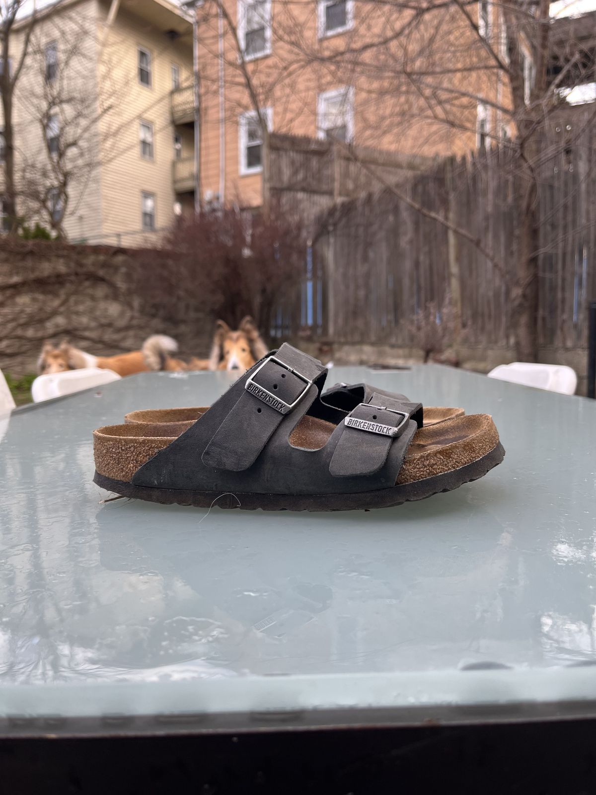 Photo by patinathunderdome on April 4, 2022 of the Birkenstock Arizona in Black Oiled Leather.