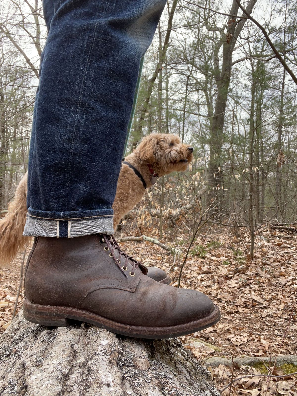 Photo by patinathunderdome on May 4, 2022 of the Grant Stone Edward Boot in C.F. Stead Tobacco Waxy Commander Suede.