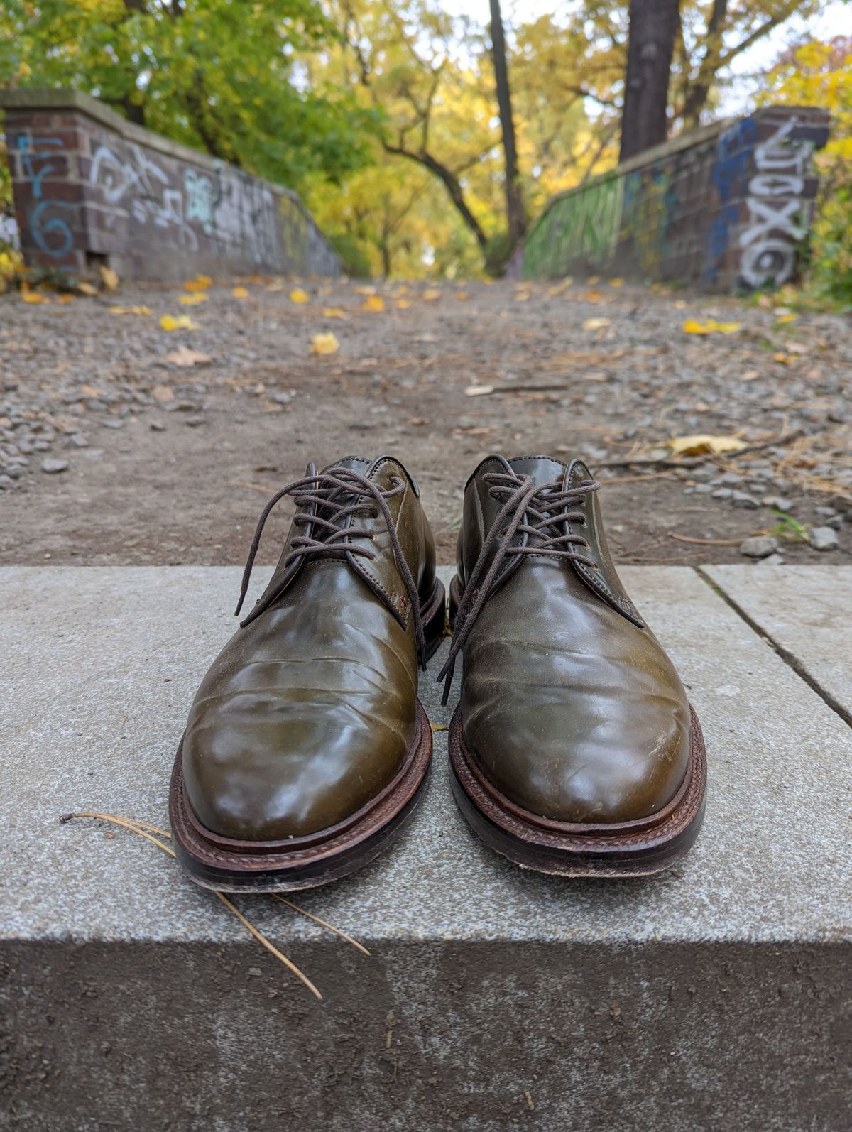 Photo by patinathunderdome on November 3, 2021 of the Grant Stone Plain Toe Blucher in Horween Maduro Shell Cordovan.