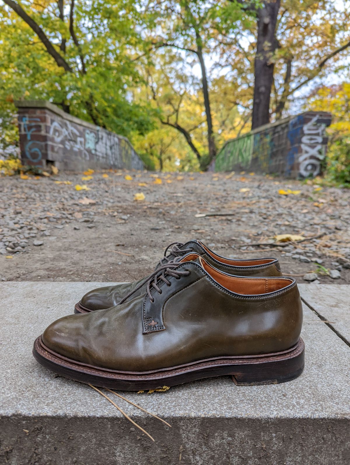 Photo by patinathunderdome on November 3, 2021 of the Grant Stone Plain Toe Blucher in Horween Maduro Shell Cordovan.