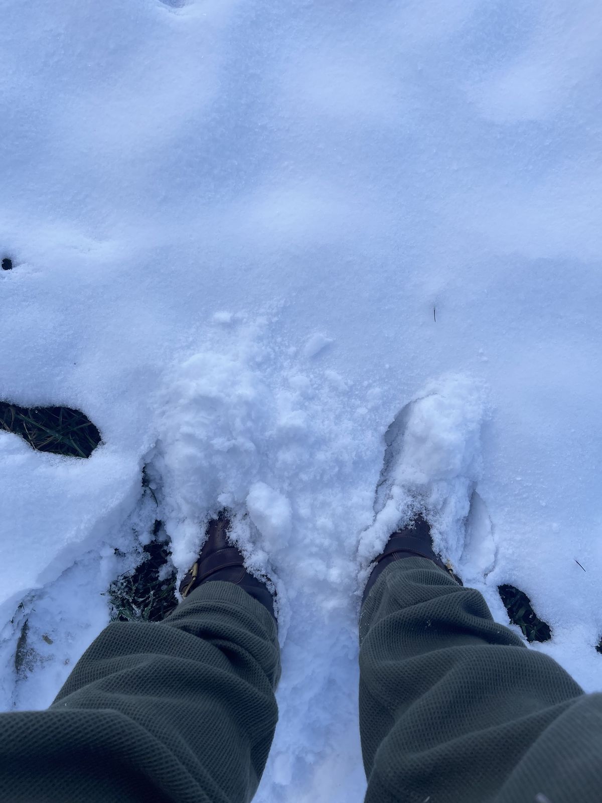 Photo by patinathunderdome on January 4, 2022 of the Viberg Engineer in Horween Color 8 Shell Cordovan.