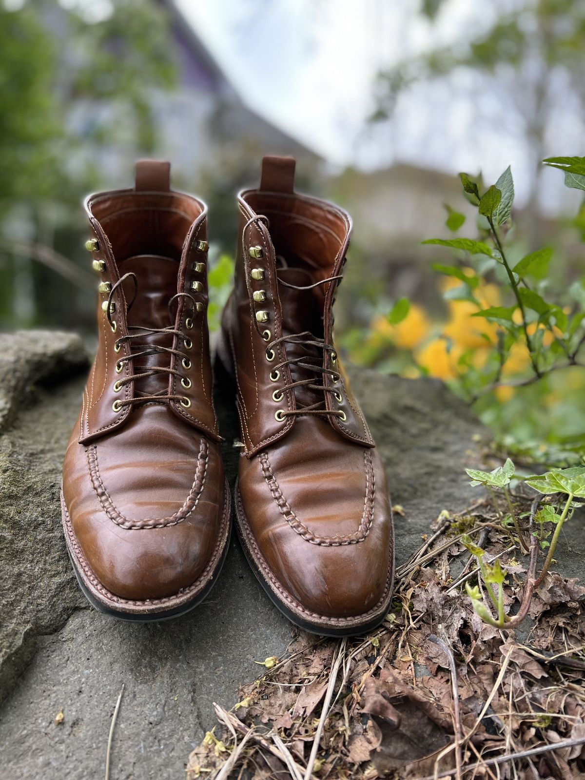 Photo by patinathunderdome on May 4, 2022 of the Alden Indy Boot in Horween Whisky Shell Cordovan.