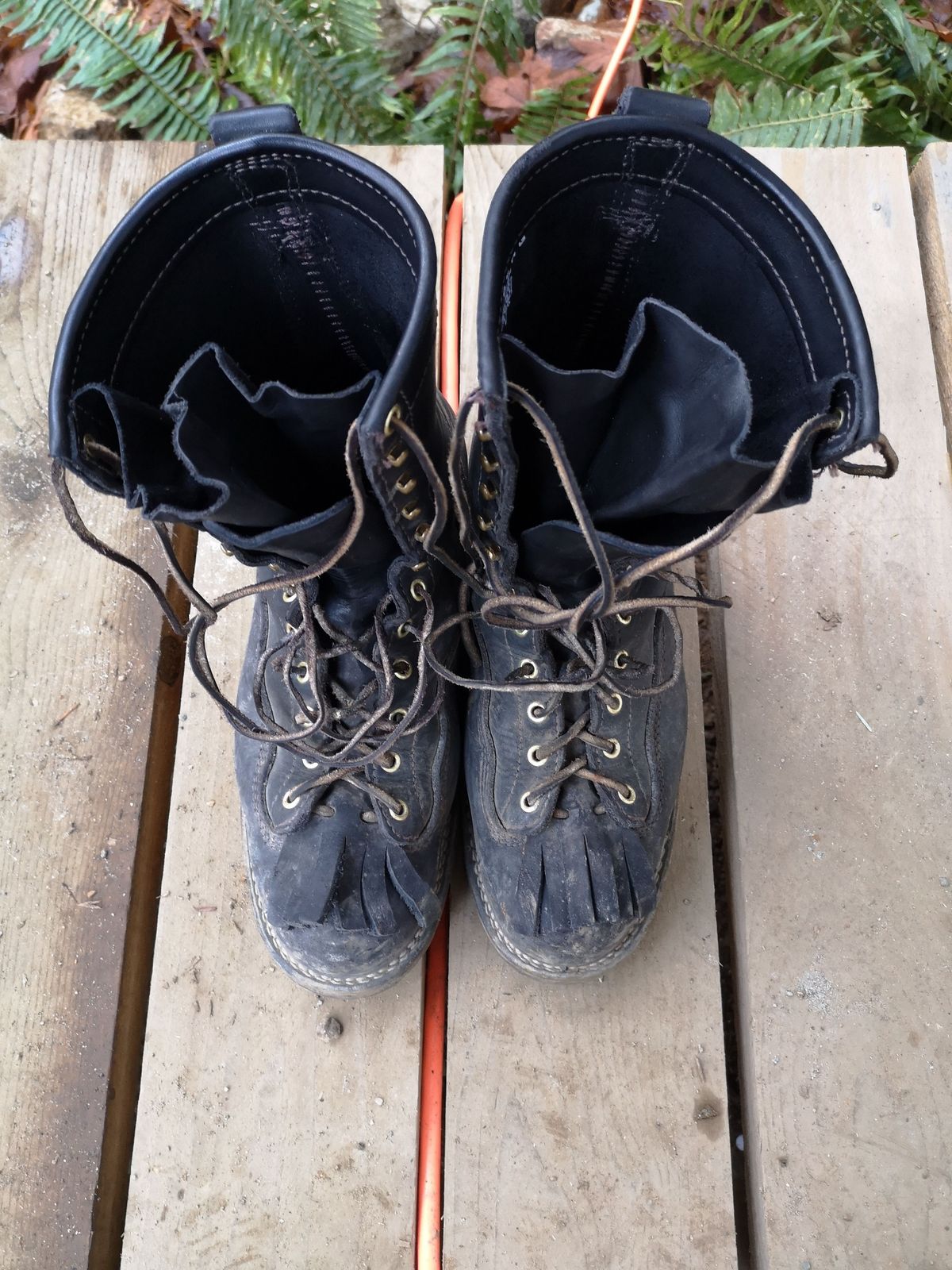 Photo by patinathunderdome on December 2, 2021 of the Viberg Work Boot in Seidel Black Oil Tan.