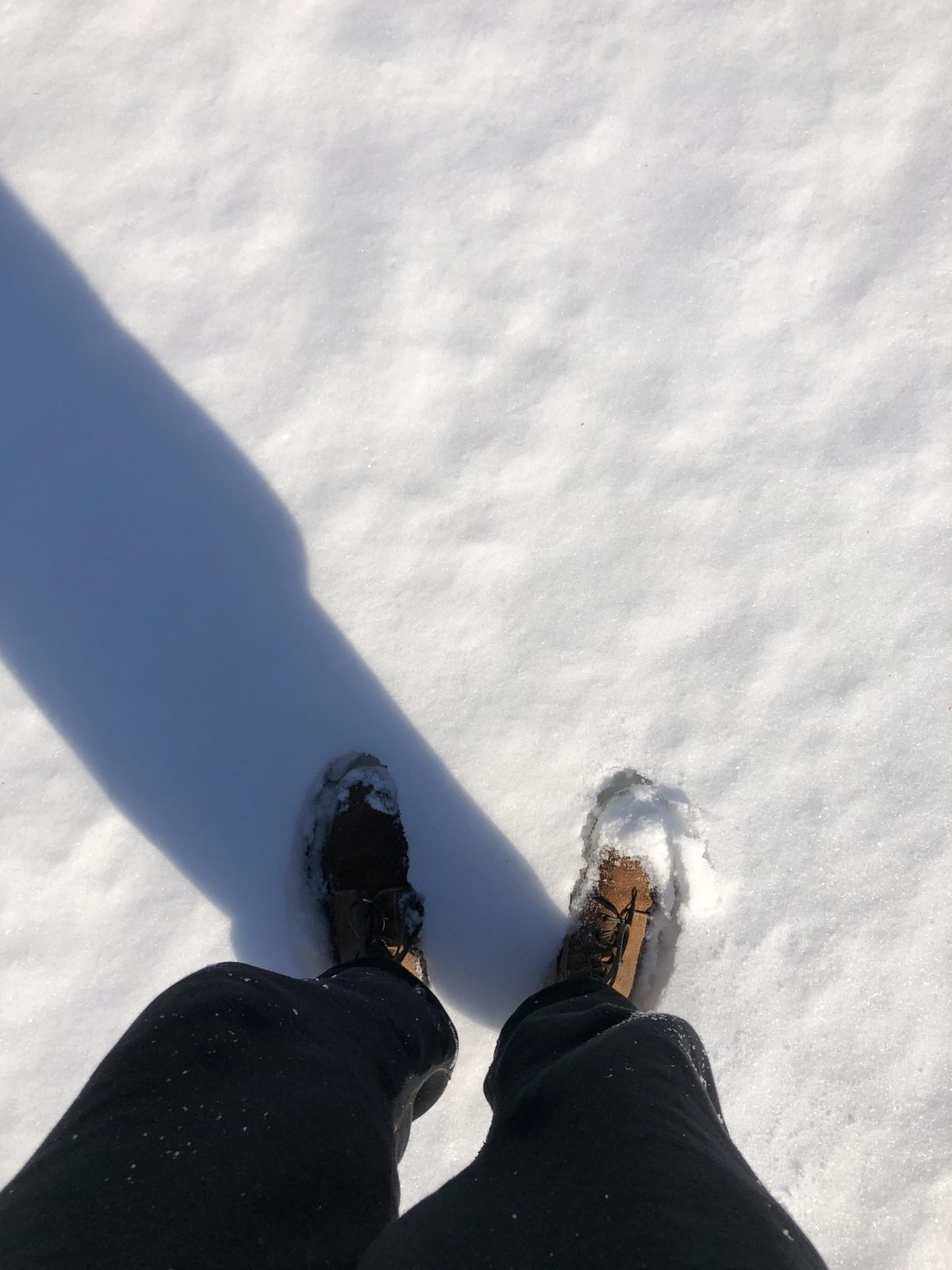 Photo by patinathunderdome on February 4, 2022 of the Clinch Yeager Boots in Wickett & Craig Natural Latigo Roughout.