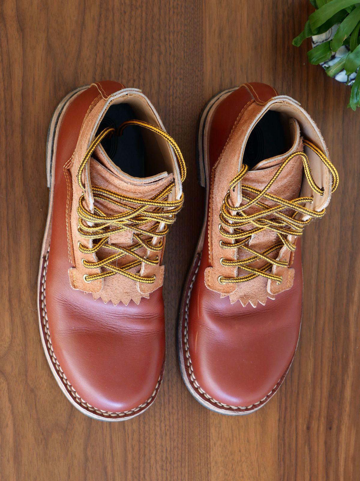Photo by patinathunderdome on December 3, 2021 of the Self-Made in Rodbrun Chrome Tan.